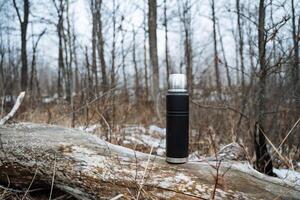 In a beautiful and lush forest abundant with greenery, a shiny black thermos is resting on a fallen log, surrounded by vibrant plants and towering trees that stretch high into the sky photo