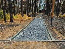 In the heart of a dense and serene forest, there lies a charming gravel path that invites exploration and peaceful walks through the beautiful natural landscape surrounding it photo