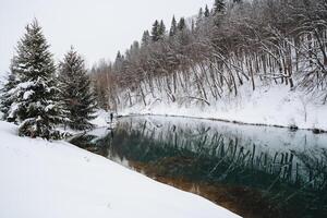 A picturesque river beautifully surrounded by snowcovered trees, with a stunning reflection of those trees glistening in the water beneath, creating a tranquil winter scene photo