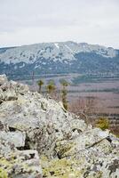 Spectacular view of mountain range from rocky cliff with trees in foreground photo