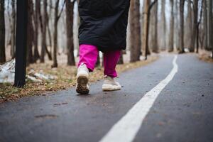 A person is strolling on a path through the forest photo