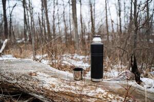 On a beautifully sunny day in the tranquil woods, a thermos and cup are placed on a log, surrounded by lively nature, creating an ideal scene for delightful relaxation and deep reflection photo