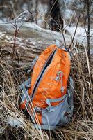 An orange backpack can be seen laying casually in the grass next to a fallen log, blending with the natural landscape that surrounds it, making for a serene outdoor scene photo