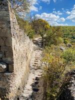 A sturdy and impressive stone wall towers high amidst the dense woods, featuring gracefully designed stairs that invite adventurers to explore this remarkable geological formation photo