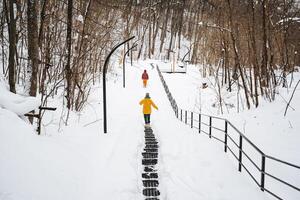 A couple strolls hand in hand along a snowy path, surrounded by majestic tall trees, savoring the crisp winter air and the serene beauty that this tranquil day has to offer photo