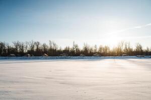 A beautifully snowy field stretches out before us, with tall trees in the background, as the bright sun shines warmly through the branches of these trees, creating a stunning winter scene photo