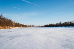 A beautiful snowy field that stretches out widely, with trees standing tall in the background and a clear blue sky overhead, creating a picturesque winter scene that captivates the viewer photo