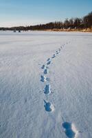 In a vast, snowy field, a distinct row of footprints can be seen, leading into the distance where the snow blankets the ground in a thick layer of white, creating a serene winter landscape photo
