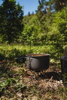In the vast open field, a pot sits on a stove surrounded by trees, plants, grass, and shrubs under the sky, forming a serene and scenic natural landscape with abundant vegetation photo