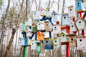 Artistic bird houses adorn tree branches in a colorful display photo