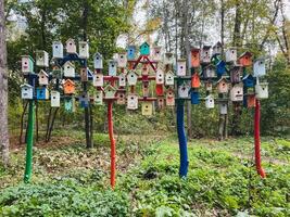 A variety of colorful bird houses is beautifully hanging from the branches of trees in a lush forest, creating a delightful scene for both nature and wildlife enthusiasts to enjoy photo