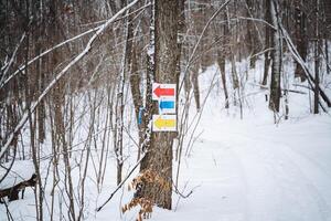 In a serene, snowy forest, there exists a vibrant red, yellow, and blue sign that is attached firmly to a tree trunk, adding a splash of color to the pristine white surroundings photo