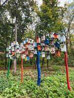 In a beautiful and serene forest, a collection of colorful birdhouses is hanging gracefully from the branches of various trees, creating a delightful sight to behold in nature photo
