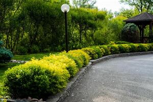 A beautiful, verdant park featuring a charming gazebo in the distance, surrounded by plants, trees, and a tranquil atmosphere, perfect for nature enthusiasts to appreciate photo