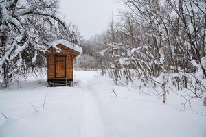 In the heart of a snowy forest, there is a small wooden shed standing quietly, surrounded by tall trees blanketed in snow. This picturesque scene captures the essence of winter beautifully photo