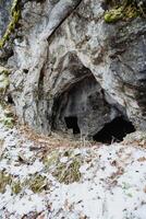 A cave is beautifully surrounded by a thick blanket of soft white snow alongside colorful fallen leaves, creating an incredibly picturesque and serene natural scene for all to enjoy photo
