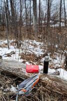 A bright red first aid kit is resting on a log amidst the serene surroundings of a beautiful forest in the woods, integrated with natures elements such as grass and trees photo
