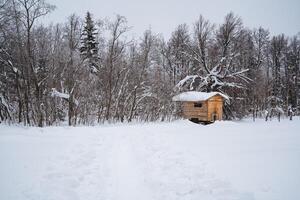 In a snowy forest, a charming wooden house stands proudly amidst the serene and captivating beauty of winter, with a peaceful, tranquil landscape that captivates all who behold it photo