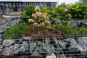 A beautiful garden that features a combination of rocks and vibrant flowers, which is situated right in front of a stunning building, creating a lovely and inviting outdoor space photo
