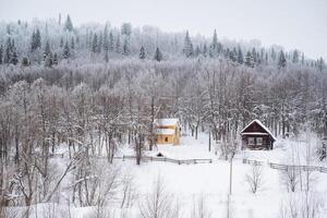 Nestled peacefully in the heart of a snowy and tranquil forest, there exists a delightful little house that warmly beckons to you with its inviting atmosphere during the cold winter months photo