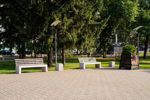 A beautiful, serene row of benches can be found in a lovely park, surrounded by tall, lush trees in the scenic background, providing a peaceful spot for visitors to sit and relax outdoors photo