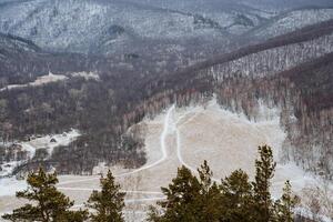 A beautiful snowy landscape featuring majestic trees with a stunning mountain range rising in the background, creating a picturesque and serene natural scenery for all to enjoy photo