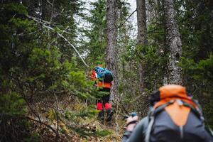 A group of hikers exploring a temperate broadleaf forest with backpacks photo