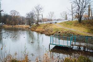 There is a small bridge over a river in the middle of a park photo