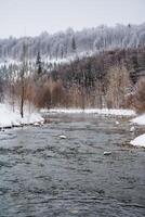 A beautiful river flowing gracefully through a serene landscape, surrounded by trees blanketed with soft, white snow on a picturesque snowy day, creating a stunning natural scene photo