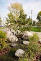 In the park, you can find numerous rocks and a diverse variety of trees, creating a vibrant and natural atmosphere for visitors to enjoy and explore the beauty of nature photo