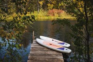 On this bright and sunny day, two brightly colored paddle boards rest on the wooden dock beside a calm and tranquil lake that is beautifully surrounded by lush nature and vibrant greenery photo