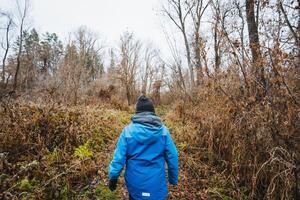 A person wearing a blue jacket is casually walking through a lush green forest, enjoying the serene environment and taking in the beautiful sights of nature all around them photo