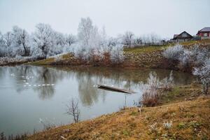 A Serene Winter Landscape Featuring Frosted Trees and a Calm, Still Pond that creates a peaceful atmosphere in the countryside setting photo