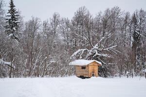 A quaint little wooden house is peacefully sitting in the middle of a serene and snowy forest surrounded by tall trees and gentle branches, creating a cozy winter landscape photo