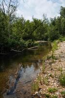 A river peacefully flows through the forest, creating a serene landscape embraced by nature, providing a tranquil environment for various living beings to thrive and enjoy photo