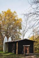 In the tranquil and serene woods, two vibrant and colorful surfboards rest comfortably atop a rustic shed, blending harmoniously with the stunning beauty of the natural surroundings photo