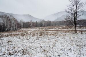 In the forefront, you can see a snowy field, while in the background stand tall trees complemented by majestic mountains that loom in the distance, creating a stunning natural scene photo