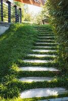 A tranquil and serene stone pathway lined with beautiful lush green grass nestled within a stunning garden setting invites relaxation and peace photo
