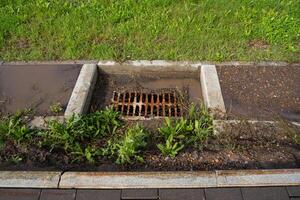 Drainage System A Stormwater Drain Featuring a Grate and Surrounded by Surrounding Vegetation in the Park Area photo
