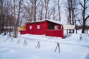 In this picturesque winter scene, a charming little red house is nestled cozily in the soft, fluffy white snow, with tall green trees nearby enhancing the natural beauty of the landscape photo