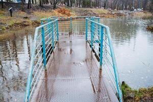 On a rainy day, there is a bridge that spans over a tranquil body of water, creating a peaceful natural landscape that beautifully combines various elements of nature and leisure photo
