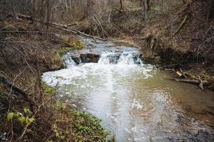 Nestled in the heart of a lush, vibrant forest, there exists a small yet enchanting waterfall, which is beautifully surrounded by a myriad of majestic trees and greenery photo