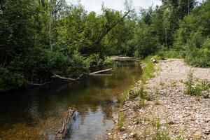 In this serene natural landscape, a small stream flows through a forest, surrounded by trees and rocks, creating a tranquil scene in nature with fluvial landforms and terrestrial plants photo
