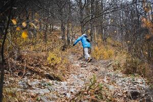 A fashionable individual sporting a vibrant blue jacket leisurely strolls down a picturesque pathway meandering through serene woods, enveloped by lush trees and vibrant greenery all around photo
