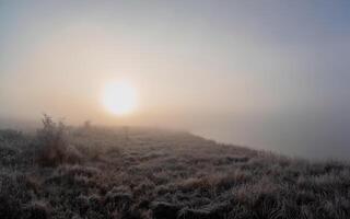 The sun rises over the field in a thick fog. Minimalistic natural foggy landscape. The shore of the lake is barely visible in the morning fog. Panoramic view. photo