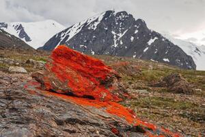 Red lichen on the stone. lichen on a stone in close-up. Multicolor rough stone in sunlight. Natural texture with copy space. Amazing mineral. Piece of rock. photo