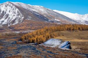 Winding river on a background of snow mountains and autumn red trees. Beautiful autumn view. mountain scenery, mountain views. photo