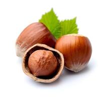 Hazelnuts with leaves closeup on white backgrounds photo