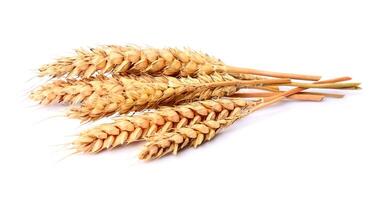 Heap of wheat photo