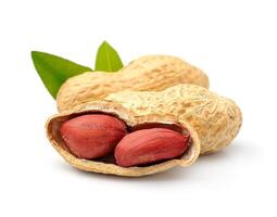 Peanuts with leaves photo